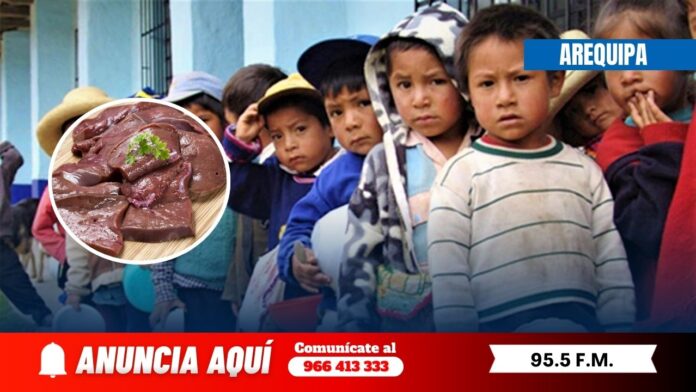 Sugieren alimentos alternativos